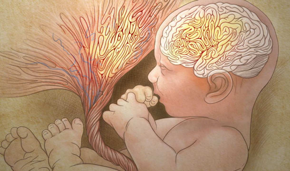 Curso de Fisiología de la Gestación. Genética y Placenta